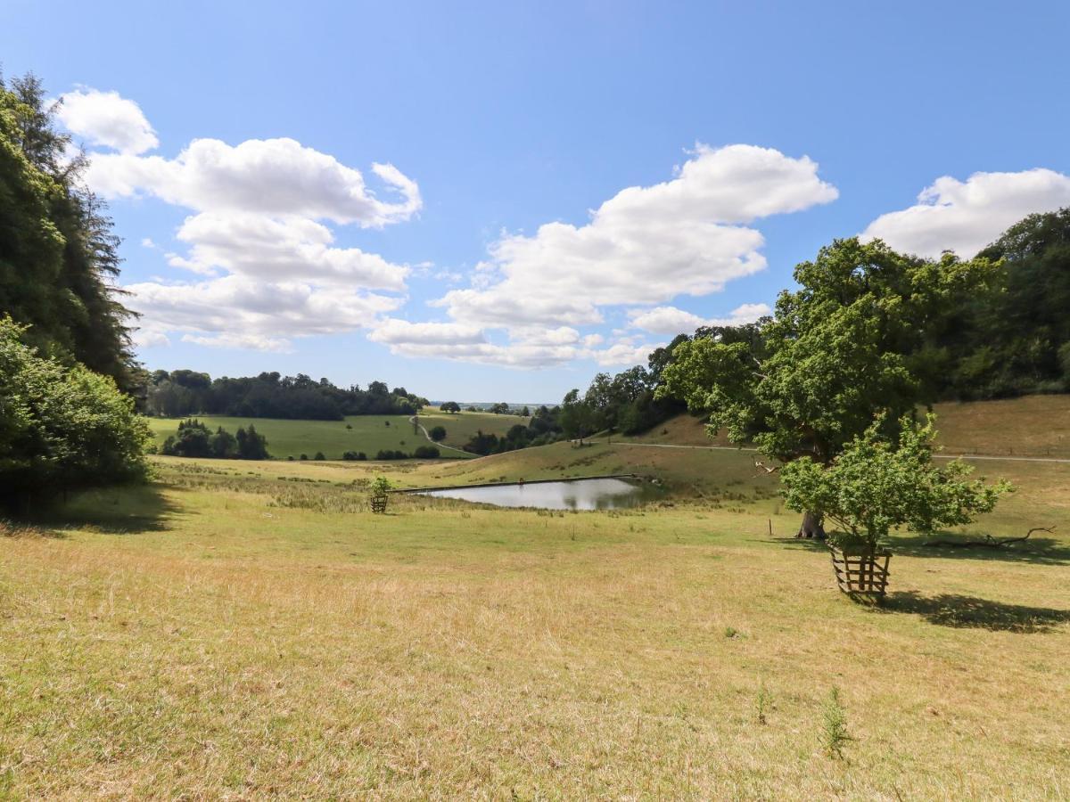 Swandown, 12 Kittwhistle Chard Exterior foto